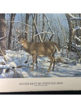 Richard W. Plasschaert "Winter Solitude Whitetail Deer"sign #1590/2200 w/Stamp